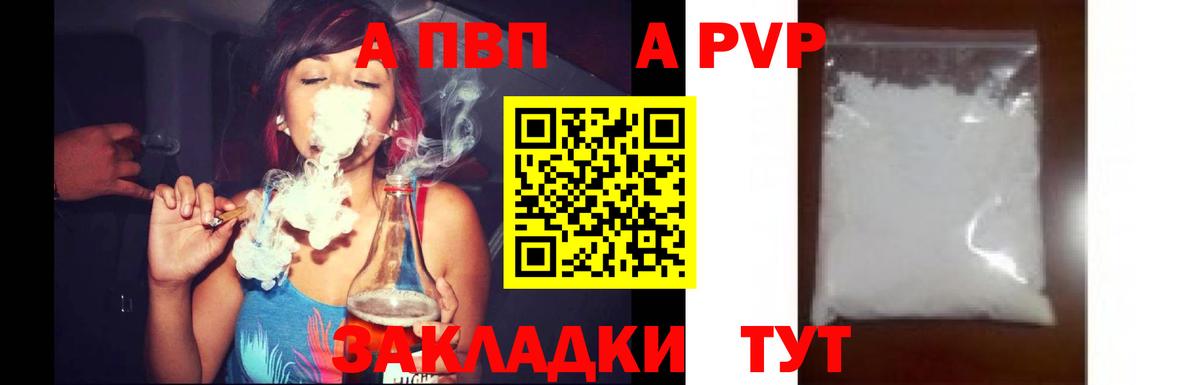 Alfa_PVP СК КРИС  Вход с VPN  Майкоп  Альфа ПВП СК  А ПВП крисы CK 