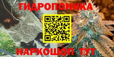 MDMA Кингисепп