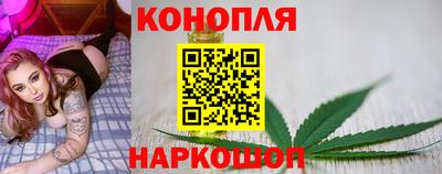 гашик Канаш