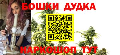 гидра Кимры