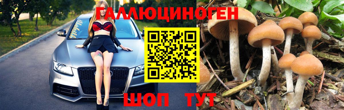 Псилоцибиновые грибы Magic Shrooms Майкоп