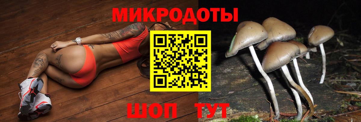 Галлюциногенные грибы Psilocybine cubensis  Вход с VPN  Майкоп 